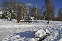 _dsc8025